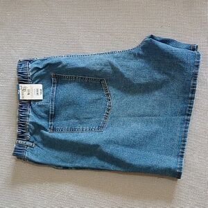 Terra & Sky Women's 4X Blue Elastic Back Shorts